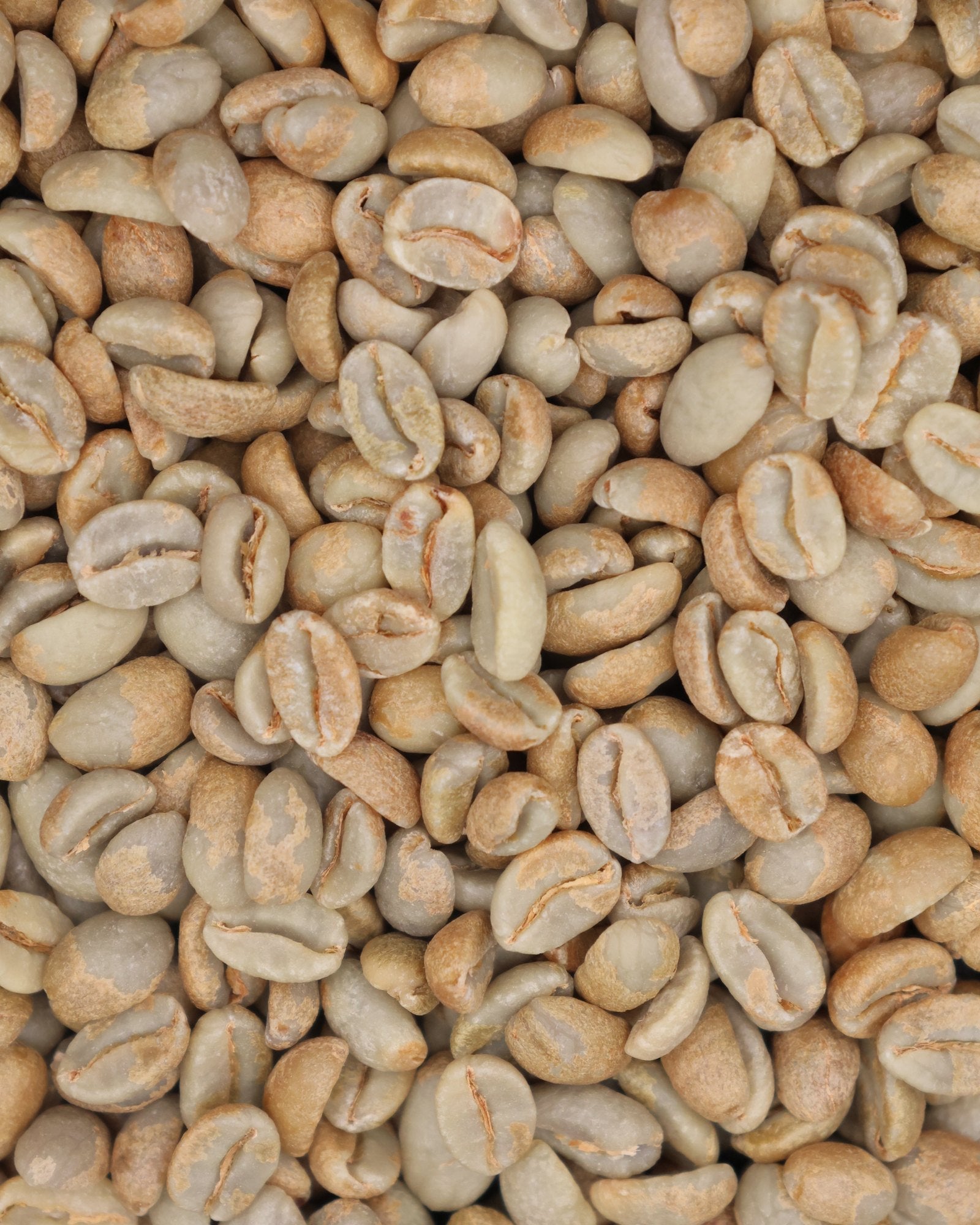 Green coffee from Jairo Arcila's Castillo honey wine yeast and peach lot
