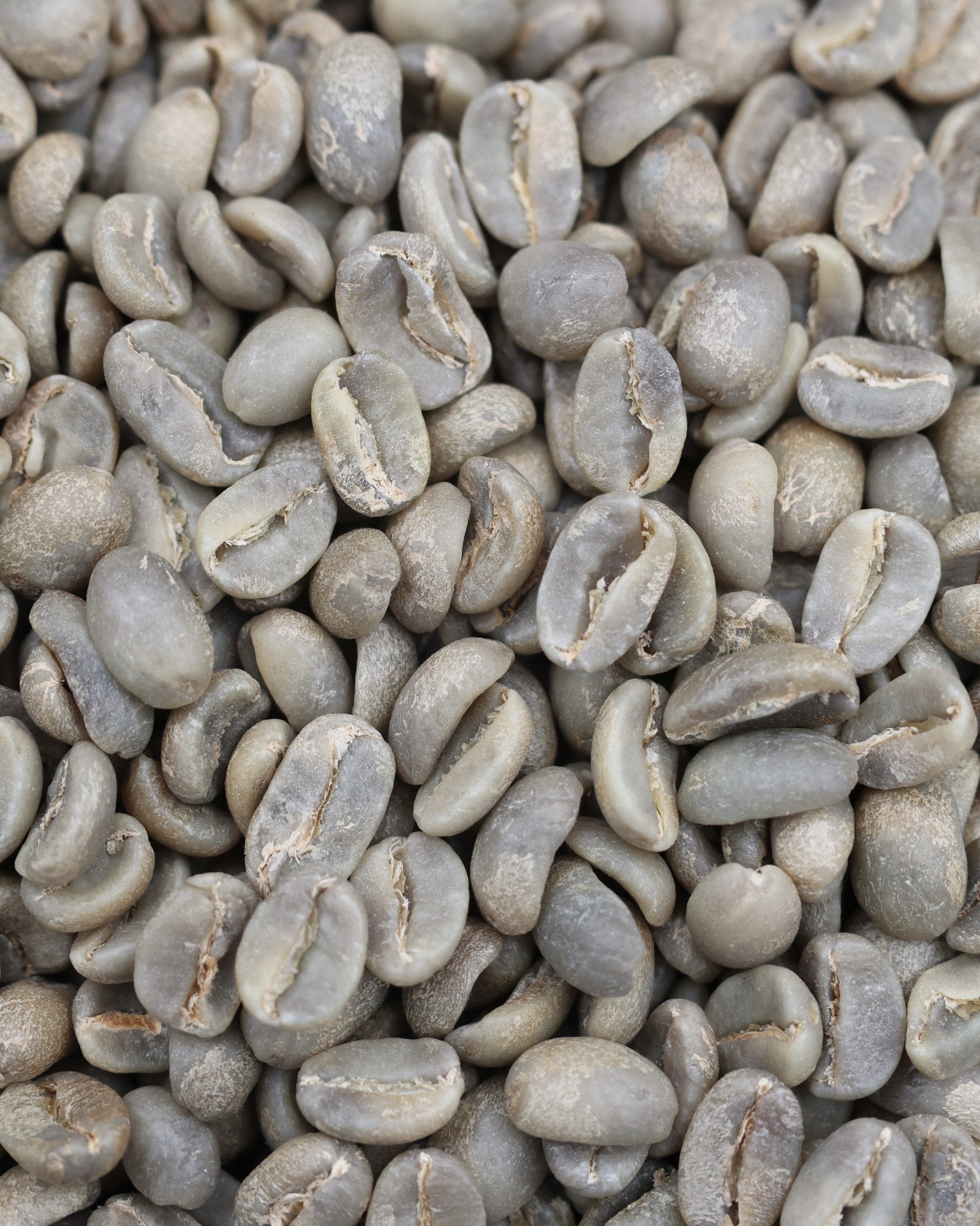 Green coffee from the Mierisch washed Geisha lot